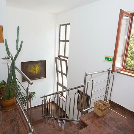 Apartments Mihic Makarska Dış mekan fotoğraf